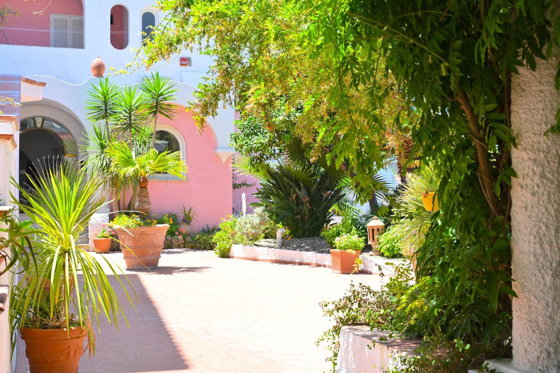 מלון Forio di Ischia Av Club Terme Colella מראה חיצוני תמונה