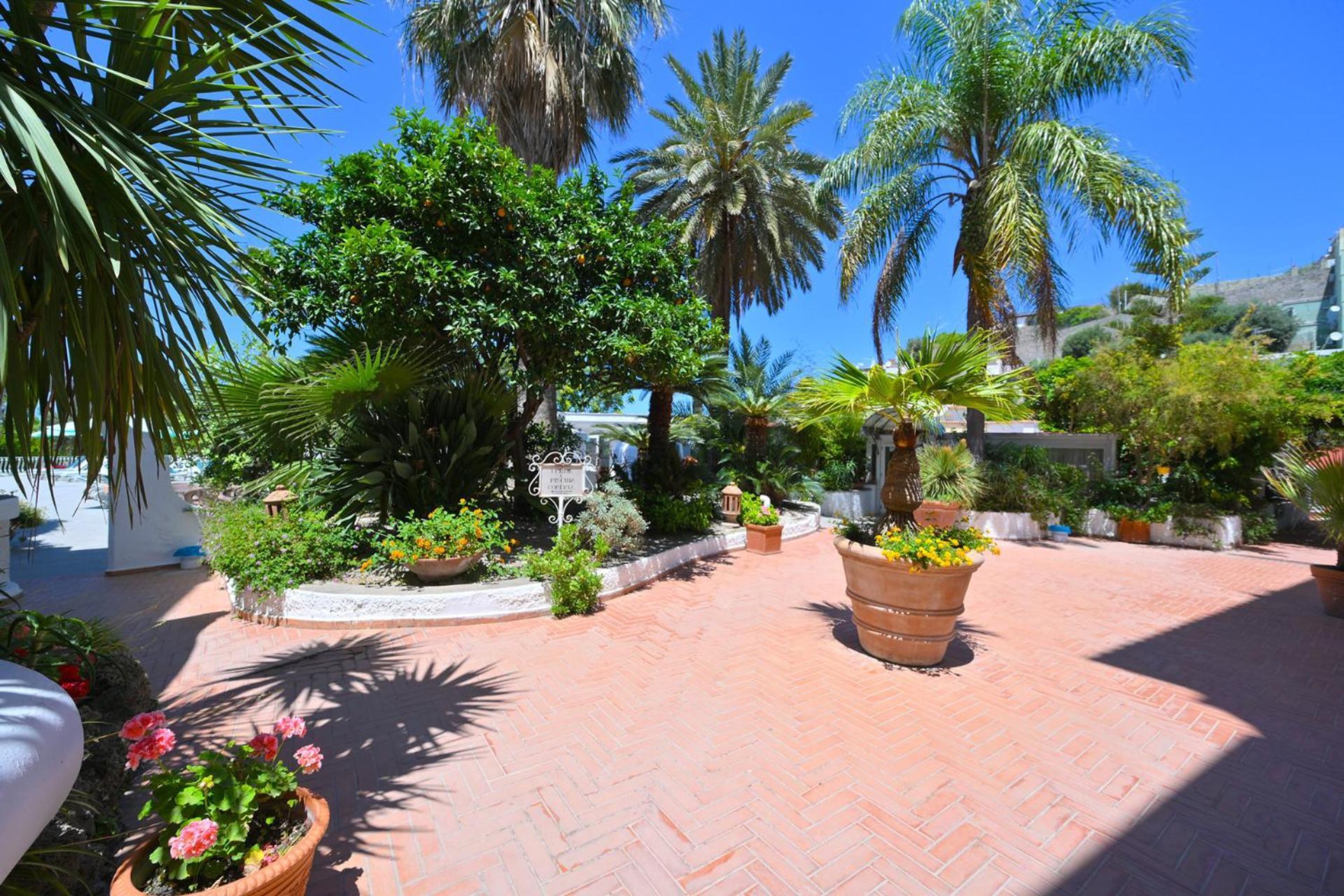 מלון Forio di Ischia Av Club Terme Colella מראה חיצוני תמונה